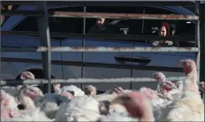  ?? ANTONIO PEREZ/CHICAGO TRIBUNE ?? Ambrose Padilla, left, and his brother Manuel peer out the family van to gaze at the turkeys in a holding pen at Kauffman Turkey Farms in Waterman, Ill. on Nov. 14.