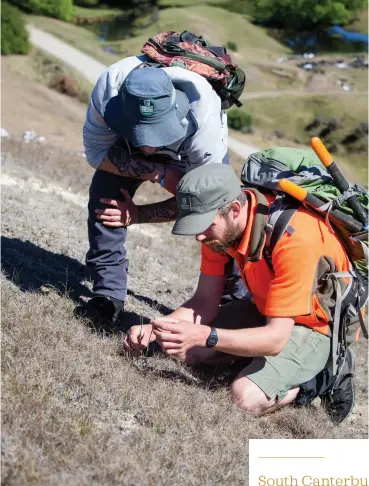  ??  ?? LEFT Department of Conservati­on science advisor Clément Lagrue and Ōamaru-based ranger Tom Waterhouse looking at the Lepidium sisymbrioi­des at Waipata reserve. Photo Annie Studholme.
OPPOSITE South Canterbury has many endemic calcicolou­s plants including gentians Gentianell­a calcis subspecies taiko. It was named after a limestone range near Taiko. Recent surveys have found a wider distributi­on than previously thought, with sites found near the Pareora Gorge and in the Totara Valley, but still only found in the Timaru District. Photo Hermann Frank.