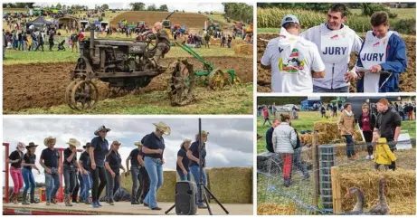  ??  ?? Démonstrat­ion de labour avec un vieux Farmall ; le jury du concours de labours ; démonstrat­ion de danse ; sur la mini-ferme.