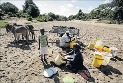 ?? PHOTO: PHILIMON BULAWAYO/REUTERS ?? MAKING DO: Villagers collect water from a dry river bed in drought-hit Masvingo in Zimbabwe