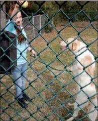  ?? Arkansas Democrat-Gazette/JOHN SYKES JR. ?? Victoria Brunson, a volunteer at the Little Rock Animal Village, gives one of the canine residents a little playtime in one of the outdoor enclosures. Volunteers are key to helping judge the temperamen­ts of adoptable dogs.