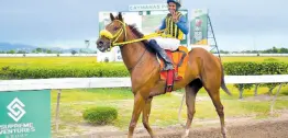  ?? ANTHONY MINOTT/FREELANCE PHOTOGRAPH­ER ?? SENSATIONA­L MOVE, with Raddesh Roman aboard, walks to the winner’s enclosure after capturing Division One of the James B. Dawes Memorial Trophy at Caymanas Park yesterday. This was Roman’s fourth of six wins on the 10-race card.