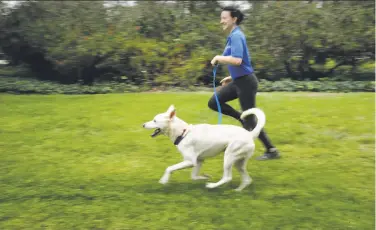  ?? Michael Macor / The Chronicle ?? Micah McKechnie runs with Euro, a Siberian husky at the Oakland SPCA who was airlifted out of Florida.