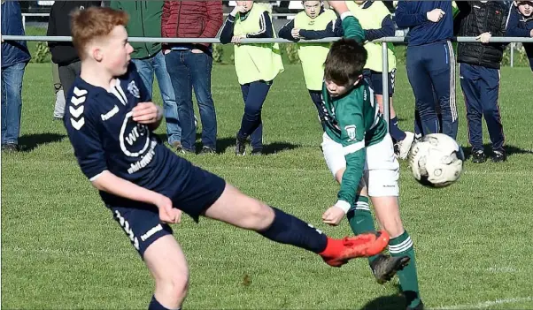  ?? Pictures: Colin Bell ?? Sean O’Halloran shoots to score a fine goal for Duleek during their 3-2 cup victory over Ardee Celtic at the Tollstone.