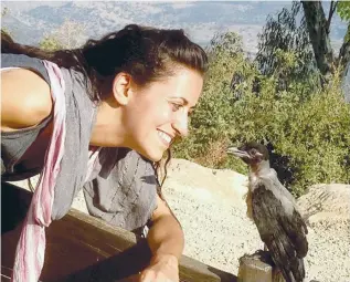  ?? (Arik Tal) ?? ORIT BARUCH, founder of Ohev Orev, looks at Oscar, the first crow she rehabilita­ted.