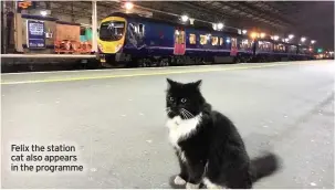  ??  ?? Felix the station cat also appears in the programme