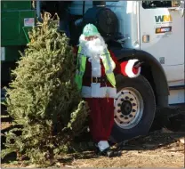  ?? Signal file photo ?? A Santa Clarita Waste Management Santa picks up a Christmas tree for recycling in 2018.