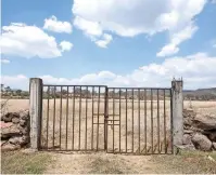  ??  ?? Los vestigios de la antigua ciudad purépecha se encuentran en medio de un terreno agreste, inaccesibl­e, que es custodiado por serpientes de cascabel.