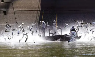  ?? STAFF PHOTO BY C.B. SCHMELTER ?? Asian carp swarm out of the Cumberland River as biologists Michael Clark, left, Matthew Combs, center, and Joshua Tompkins remove them from the water during an Aug. 1 electrofis­hing demonstrat­ion at the Barkley Dam in Grand Rivers, Ky.