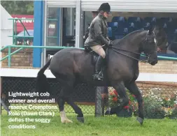  ??  ?? Lightweigh­t cob winner and overall reserve Cromptons Rolo (Dawn Clark) defies the soggy conditions