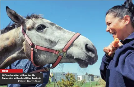  ?? PICTURE: TRACEY ADAMS ?? NOW SPCA education officer Lucille Boonzaier with a healthier Fantasia