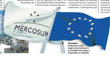  ?? FOTOS: CEDOC PERFIL ?? OPCIONES.
El Mercosur debe elegir entre limitarse a la actividad del campo o desarrolla­r su industria.