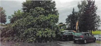  ?? FOTO: ANNETTE VINCENZ ?? In Baindt begrub ein riesiger Baum einen VW-Bus unter sich. Verletzt wurde niemand.