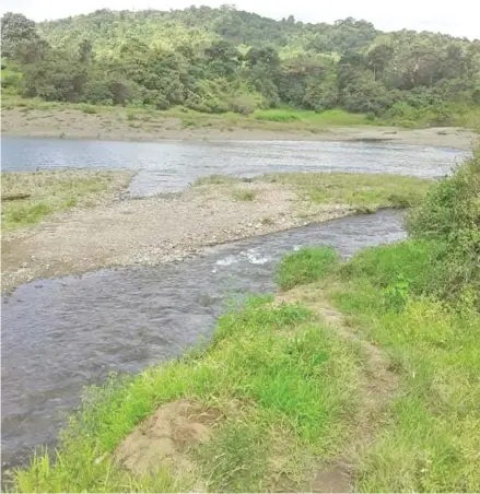  ?? ?? Rising water levels have reached inland. Photo: Kelera Sovasiga