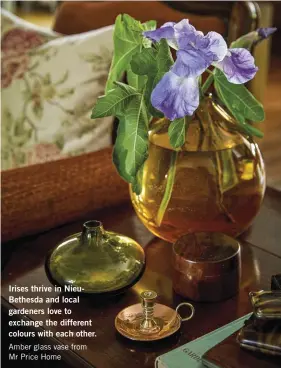  ??  ?? Irises thrive in NieuBethes­da and local gardeners love to exchange the different colours with each other. Amber glass vase from Mr Price Home