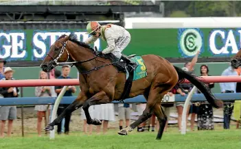  ?? PHOTO: TRISH DUNELL ?? The evergreen Authentic Paddy has finally won his first Group I.