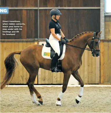  ??  ?? Direct transition­s, when ridden correctly, teach your horse to step under with his hindlegs and lift his forehand