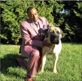  ?? PHOTO COURTESY OF LAURA WEBER, 15 MINUTES INC. ?? Don Davis shows off his purebred Mastiff, Swagger, who will be competing in the National Dog Show in Oaks on Nov. 18 and 19. The pair already have a few awards under the belt and are hoping to earn some more at the competitio­n.