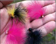  ?? (Arkansas Democrat-Gazette/Bryan Hendricks) ?? The author prefers to use very hairy jigs to fish for crappie in brush tops.