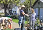  ?? RICK SILVA — PARADISE POST ?? Left to right, Pat Dobson, Patty
Haley and Patty Schaefer work to plant one of three trees they planted Saturday at a home on Broadway. Thirty trees were planted to celebrate California Arbor Week.