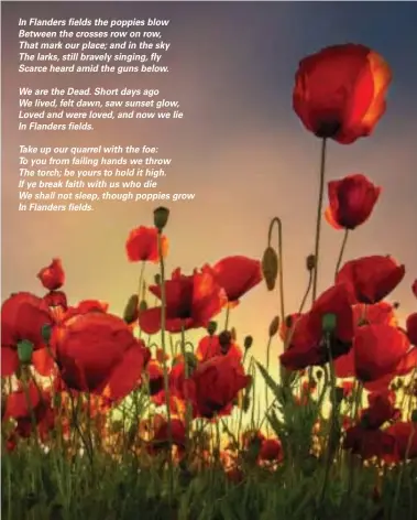  ?? ?? In Flanders fields the poppies blow Between the crosses row on row, That mark our place; and in the sky The larks, still bravely singing, fly Scarce heard amid the guns below.
We are the Dead. Short days ago We lived, felt dawn, saw sunset glow, Loved and were loved, and now we lie In Flanders fields.
Take up our quarrel with the foe:
To you from failing hands we throw The torch; be yours to hold it high.
If ye break faith with us who die
We shall not sleep, though poppies grow In Flanders fields.