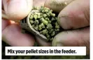  ??  ?? Mix your pellet sizes in the feeder.