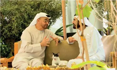  ?? — screengrab ?? The viral picture of the UAE President and Vice-president with the kitten of the famous rescued cat from Dubai during their meeting.