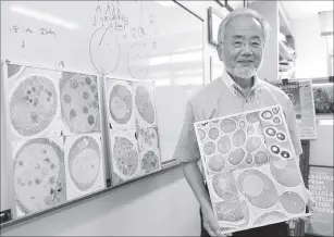  ?? AP ?? Japanese scientist Yoshinori Ohsumi won this year’s Nobel Prize in medicine for his ‘brilliant experiment­s’ on autophagy, the machinery with which cells recycle their content. Disrupted autophagy has been linked to various diseases, including...