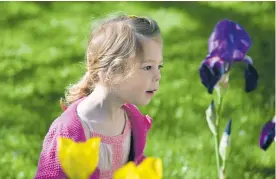  ??  ?? Sophie investigat­ses the flowers in front of her house on Thursday.