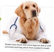  ?? ?? Studies have shown that some dogs are able to sniff out breast and lung cancer from a patient’s breath