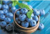  ?? STOCK.ADOBE.COM ?? Blueberrie­s contain more antioxidan­t nutrients than most fruits and vegetables.