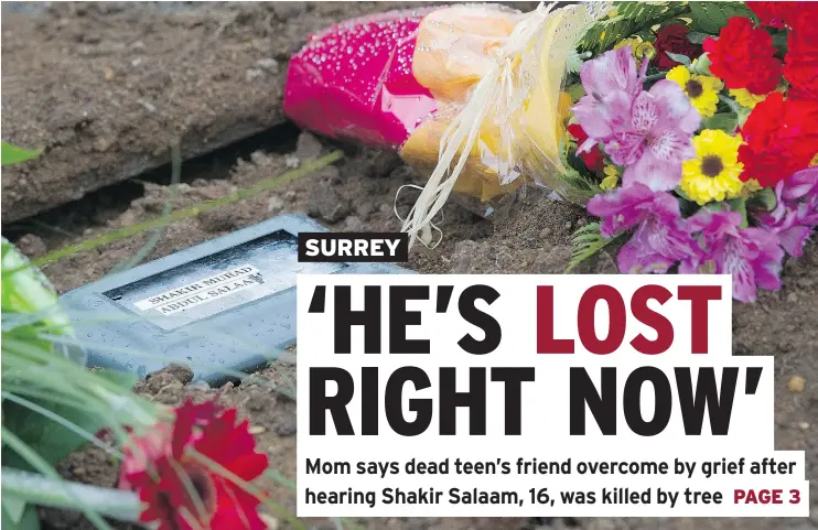  ?? MARK VAN MANEN/PNG ?? Fresh flowers can be seen at the Surrey gravesite of Shakir Salaam, who was killed by a tree Friday in the city, and was buried Saturday.