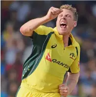 ?? AFP file ?? Jams Faulkner has been urged to make the best of his return for the One-day series in India. —
