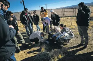  ?? MERIDITH KOHUT/THE NEW YORK TIMES ?? Mexican coroners watch as Alex Smith, center, lab manager of Colorado Mesa University’s Forensic Investigat­ion Research Station, searches for maggots under a decomposin­g donated body last month on the station’s grounds in Whitewater, Colo. The U.S. government is inviting coroners from Mexico to this and similar facilities so they can learn to detect fatal fentanyl overdoses.