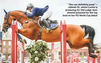  ??  ?? “She can definitely jump” – Jallelah OL, whom Louise is producing for Old Lodge stud,
showed potential for the top level on her FEI World Cup debut