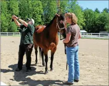  ?? PHOTO PROVIDED ?? Kitt Hazleton, left, shows people how to properly fit a saddle during the 26th annual Saratoga Horse Symposium in Ballston Spa.