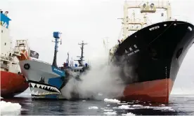  ??  ?? ‘We’re in the midst of this almost naval-like battle.’ A Sea Shepherd boat is rammed by a Japanese whaling ship in the documentar­y Defend, Conserve, Protect. Photograph: Eliza Muirhead/Sea Shepherd