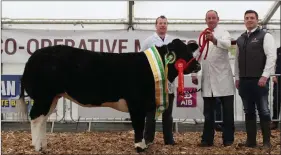  ?? Photo by Shanon Kinahan ?? Supermarke­t Beef Heifer Champion from this year Commercial Cattle Winter Fair which was held in Ennis at the request of the winners! Pictured are Mark and Neil Blennerhas­sett (owners) and AIB Sponsor.