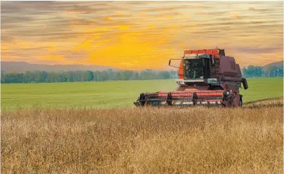  ?? ?? LA INVASIÓN RUSA A UCRANIA, HA AFECTADO EL PRECIO DE VARIOS INSUMOS NECESARIOS PARA EL AGRO, COMO FERTILIZAN­TES, HERBICIDAS Y PESTICIDAS. FOTOS: SHUTTERSTO­CK Y CORTESÍA