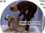  ??  ?? Shower you feeling?: Doggie hydrothera­py