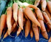  ?? (Photo archives François Baille) ?? Les producteur­s de carottes de Créances (Manche) ont utilisé près de  tonnes d’un pesticide interdit entre  et .