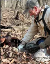  ??  ?? Ron Russell holds a squirrel that his Harris’s hawk Kuwa just caught. Russell has taken the squirrel, still alive, from the hawk to prevent injury to the bird.