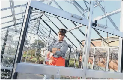  ??  ?? Homegrown CIC director Debbie Byers looks through one of the broken greenhouse windows at the Thompson Park nursery.