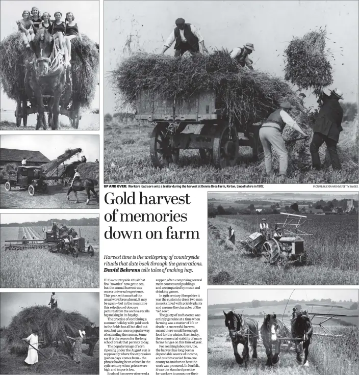  ?? PICTURES: TOPICAL PRESS AGENCY/ FOX PHOTOS/GETTY IMAGES. PICTURE: HULTON ARCHIVE/GETTY IMAGES. ?? MAKING HAY: Girls in bathing costumes ride home on a load of hay after helping out with the harvest near Torquay, in June 1934: Rick making on a Bedford farm in June 1922; a combine harvester, cutting and threshing the barley in one action in 1929; women loading hay on a farm in Bedford in 1922.
Workers load corn onto a trailer during the harvest at Dennis Bros Farm, Kirton, Lincolnshi­re in 1907.