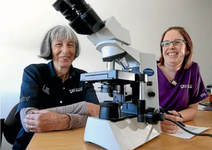  ?? PHOTO: ROBERT CHARLES/FAIRFAX NZ ?? Dawn Mills, left, and Jo Foy of New Plymouth Vet Group at work counting spores that cause facial ezcema.
