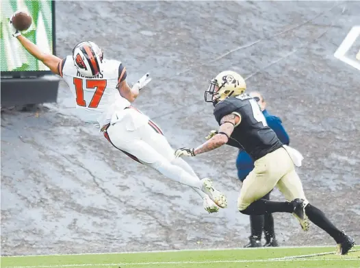  ?? Cliff Grassmick, Daily Camera ?? Oregon State’s Isaiah Hodgins stretches out for a touchdown as Colorado’s Dante Wigley can only watch Saturday. CU lost 4134.
