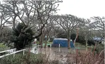  ?? Pictures: SUE MACLENNAN ?? COLD AND WET: Medolino Caravan Park owner Susan Coetzee had to wake a family group of 17 and get them to dry ground during the storm