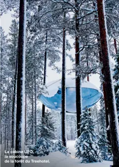  ??  ?? La cabine UFO, la soucoupe de la forêt du Treehotel.