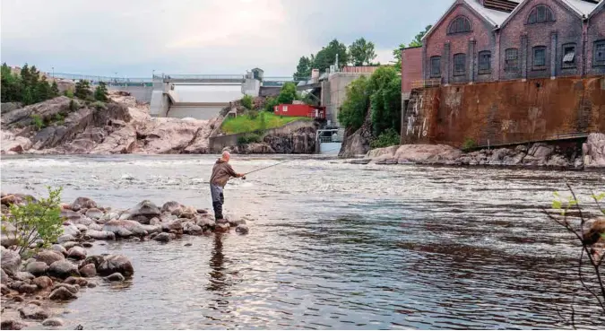  ?? FOTO: JIM RUNE BJORVAND ?? Otra laksefiske­lag vil sette i gang en evaluering og håper å finne ut hvorfor laksen uteble fra elva i sommer.