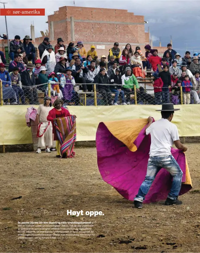  ?? Foto: PETER BAUZA ?? De passive (dyrene blir ikke skadet) og enkle tyrefektin­gskampene er blitt en tradisjon under høytidsfei­ringene i Bolivia. Folk lar seg underholde av både klovner som etterligne­r urfolkskvi­nner, cholitas, og opptredene­r fra mer velkjente,...